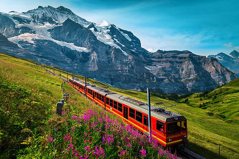 AdobeStock_328826348-min.jpeg