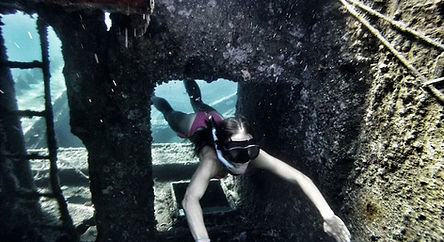 shipwreck michelle snorkeling spot