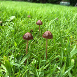 IMG_9966.jpeg