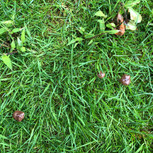 IMG_9956.jpeg