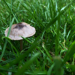 IMG_9946.jpeg