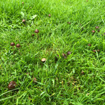 IMG_9965.jpeg