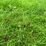IMG_9965.jpeg