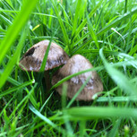 IMG_9953.jpeg