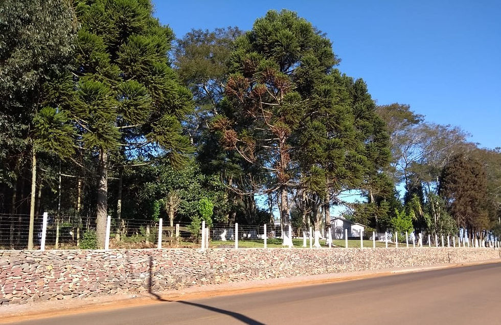 Rua 7 de Setembro