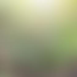 What makes us different from products you can buy in a store?