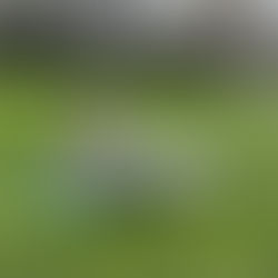 Trustworthy, effective and affordable natural skincare products