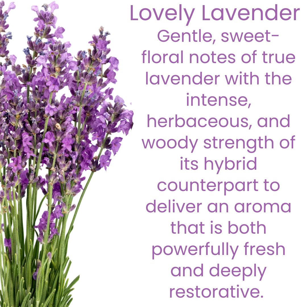 TRAVEL LOVELY LAVENDER AROMA SPRAY