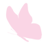 Butterfly.png