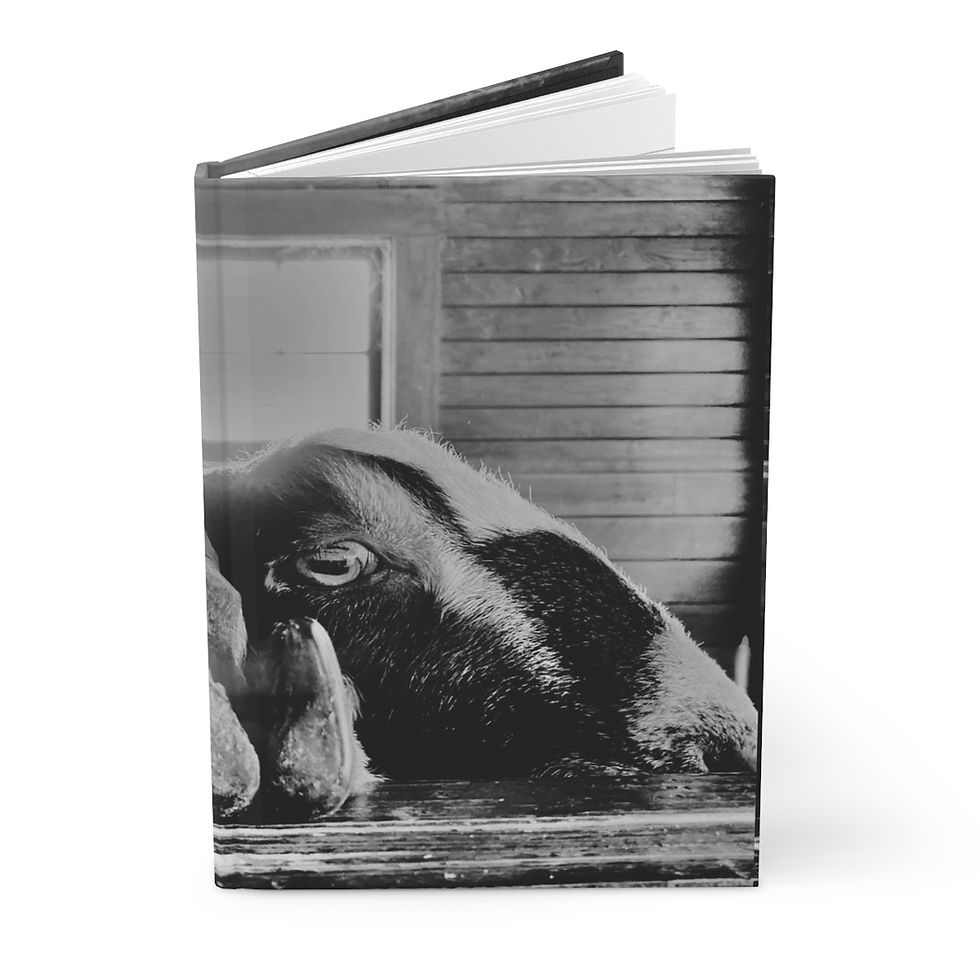 Thumbnail: G.O.A.T. hardcover journal, photo by J. Hilton 