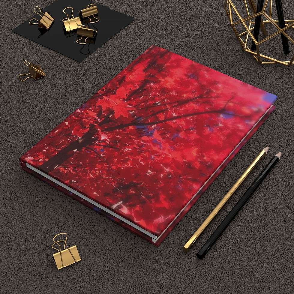 Thumbnail: Yoed's Tree hardcover journal, photo by J. Hilton 