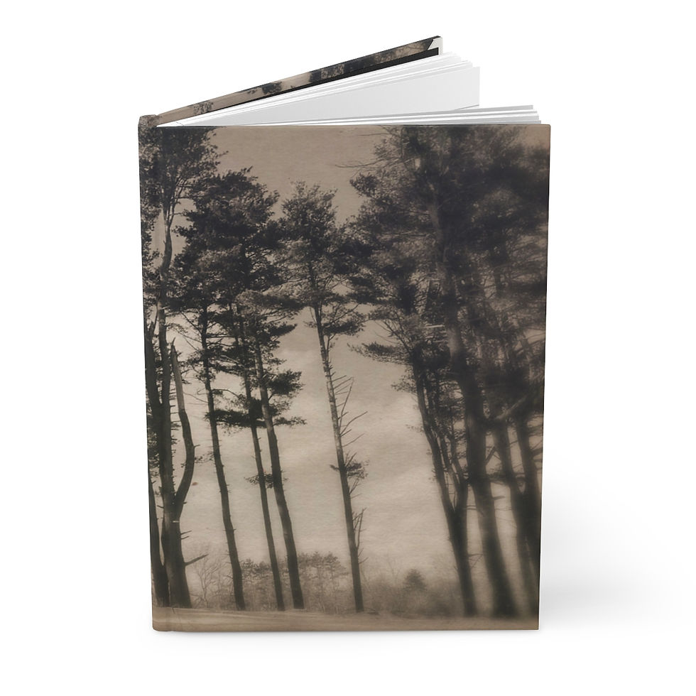 Thumbnail: Forest Bathing hardcover journal, photo by J. Hilton