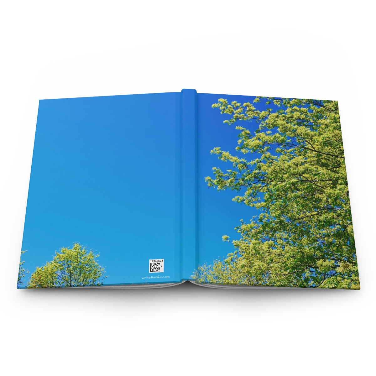 Chartreuse Stanzas hardcover journal, photo by J. Hilton