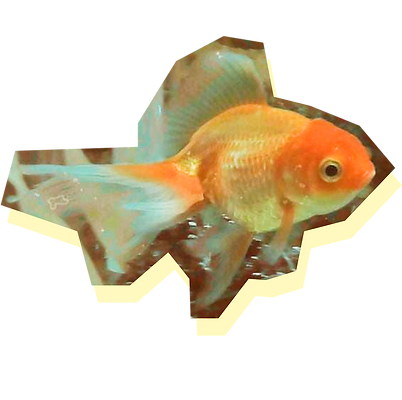IMG 4-01_edited.png