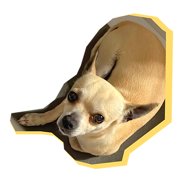 IMG 3-01_edited.png