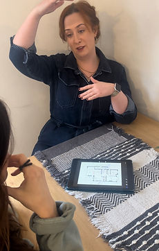 Image of Amy Shirlaw Interiors consulting with a client in their home