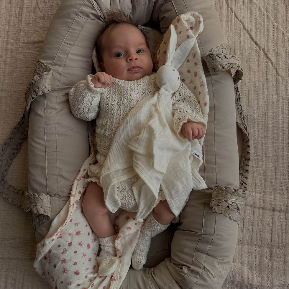 Thumbnail: ELODIE  Portable Baby Nest - Tender Taupe