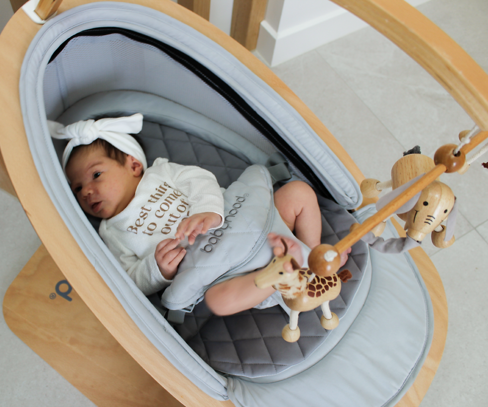 Thumbnail: Babyhood Petal Swing –Grey