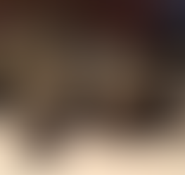 Giving Back: Alley Cat Allies