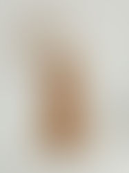 The Best Sustainable Grooming Tools and Brushes