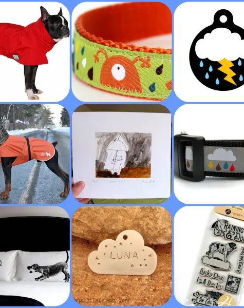 Trend Watch: It’s Raining Cats & Dogs