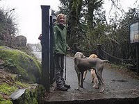 Benefits of Dog Walking