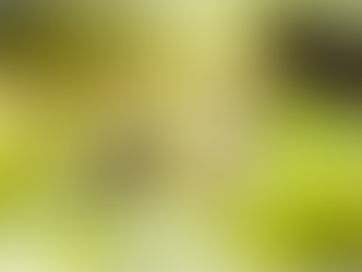 What It Means to Be a New Creation in Christ