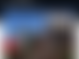 St. Louis approves Module Building Systems to build modular houses on city land