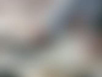 Como é o atendimento do seu contador?
