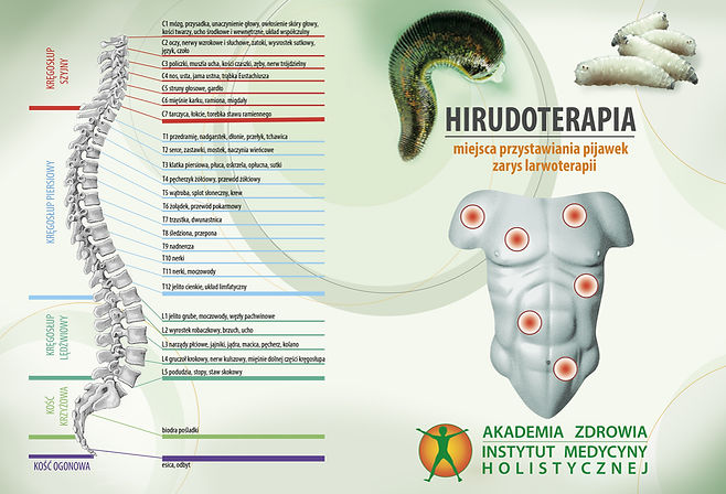 Hirudoterapia ksiąźka