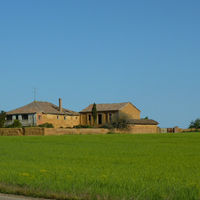 p1000884