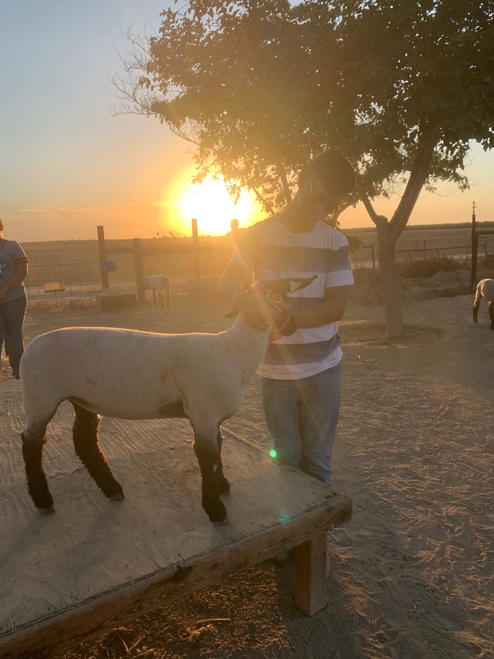 Nick Gutierrez and his lamb
