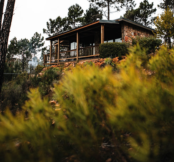 Mountain forest Cabin with Mountain views and forest feel hot-tub cabin