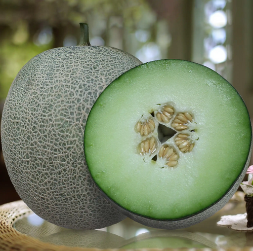 Melody F1 (Melon sds) | FRUITFUL BOUGH