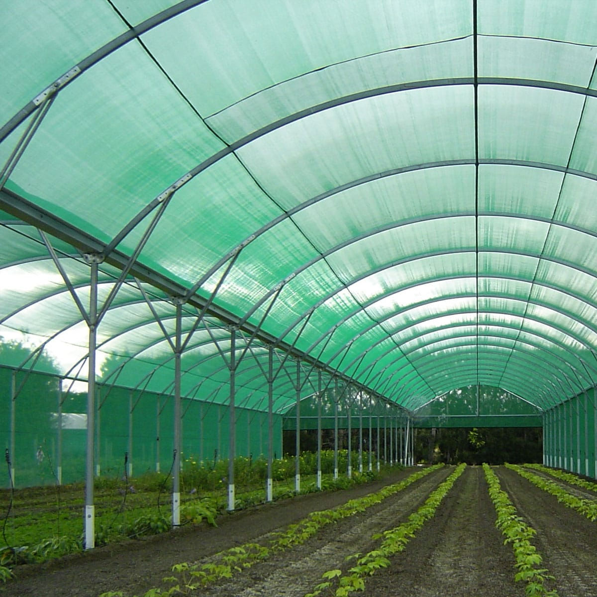 Greenhouse Shade Cloth
