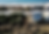 Screenshot 2025-02-20 085829.png