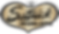 Logo (2).png