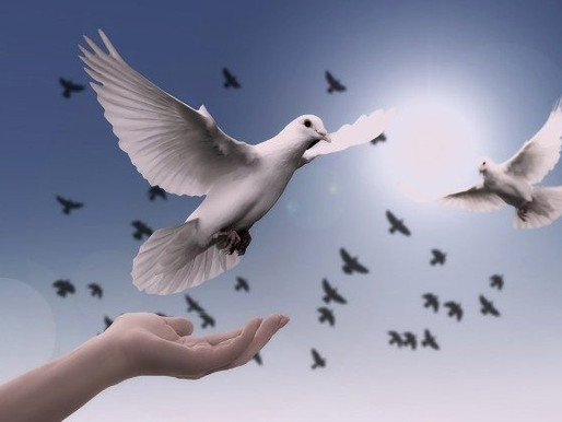 “A boa política está a serviço da paz”, tema do Dia Mundial da Paz 2019