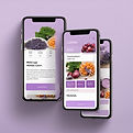 Mobile phone showing a nutrition website. Plain ombre lavender-colored background..jpg