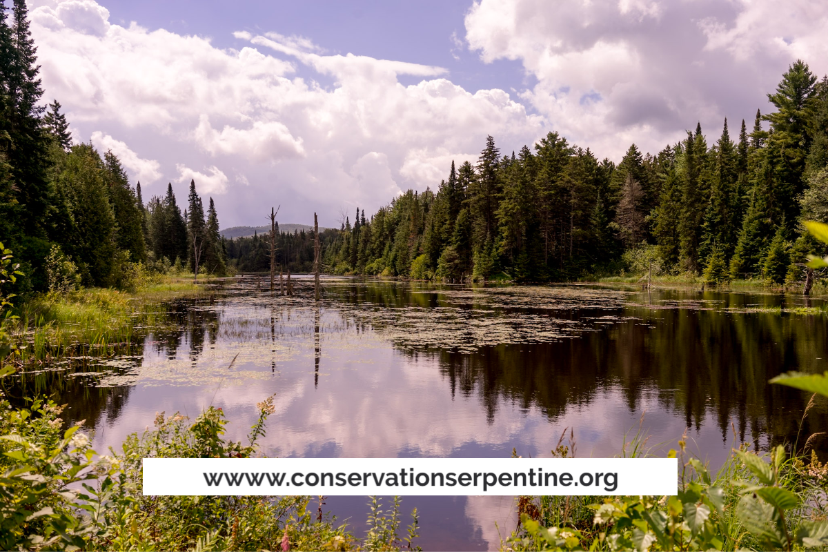 Conservation des Vallons de la Serpentine logo