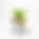 Thumbnail: Beauty Drops Planter