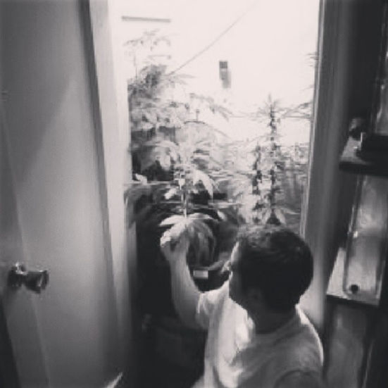 Chapter 25: New York