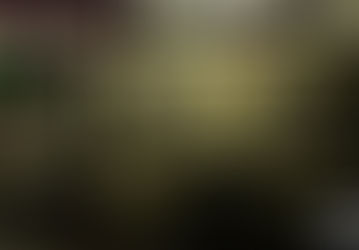 Chapter 80: The Flogging Dead