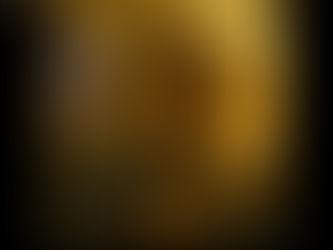 Chapter 74: The Pig Pen