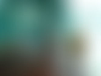 Наши прогулки