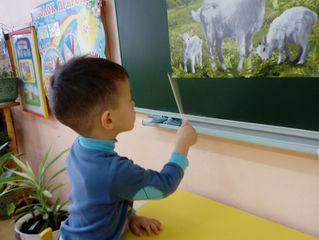 На занятии по развитию речи.