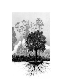 CHER ARBRE - Racines