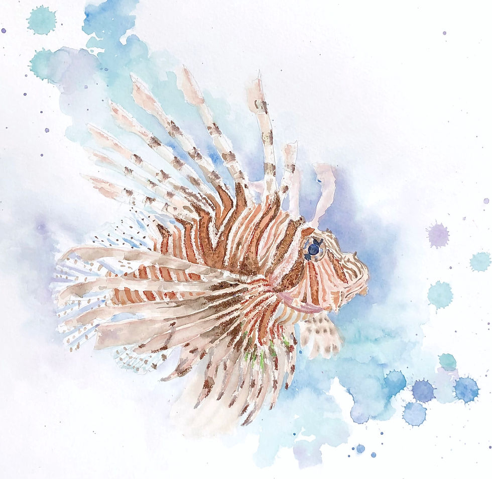 watercolour painting for a tutorial on how to paint a lionfish