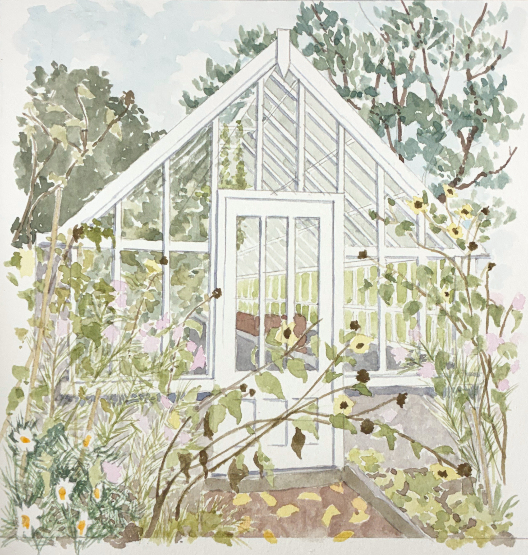 Pretty Greenhouse watercolour painting showing late summer flowers and seed heads
