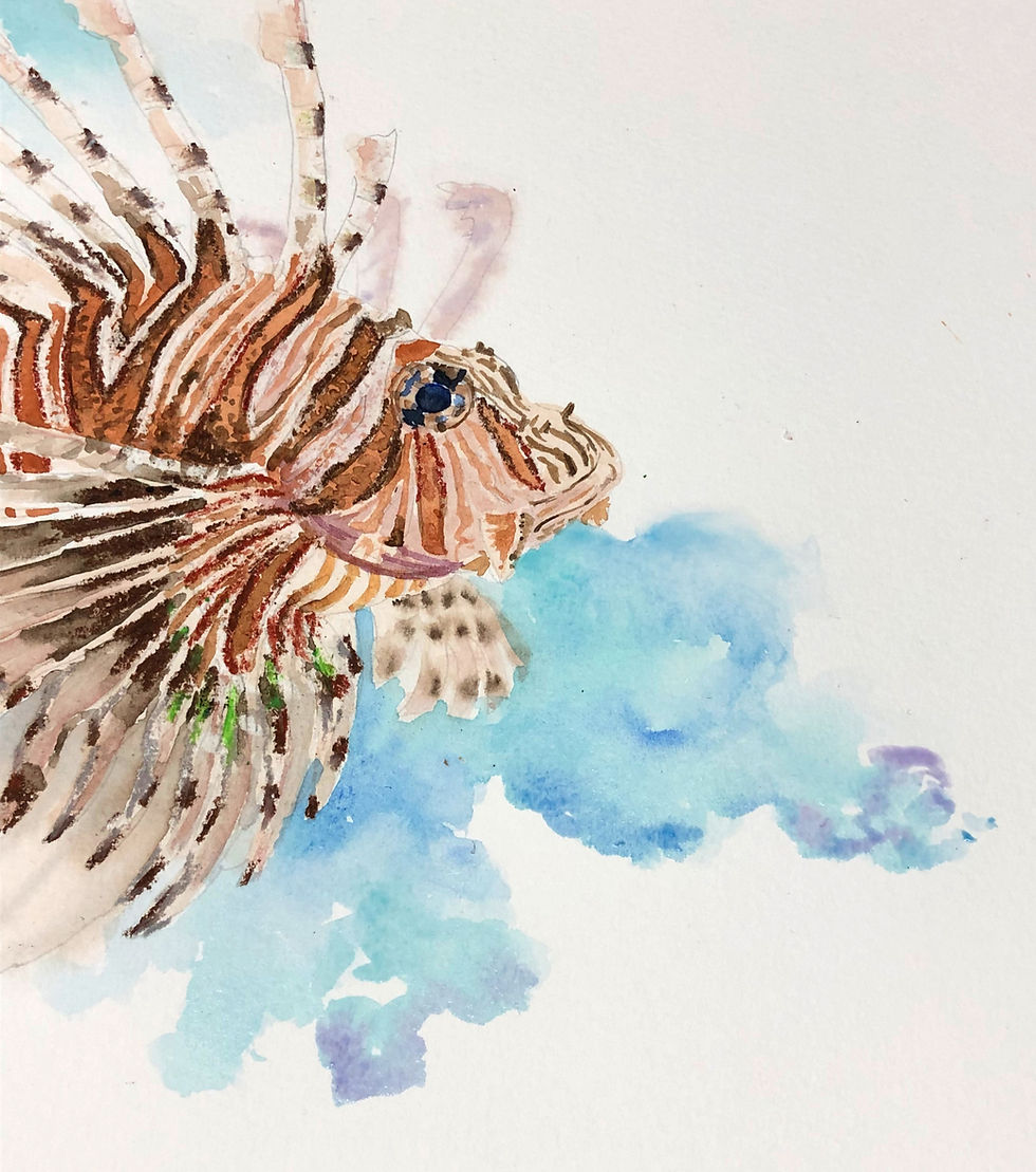 section of a lionfish watercolour painting showing flowing turquoise and blue paint